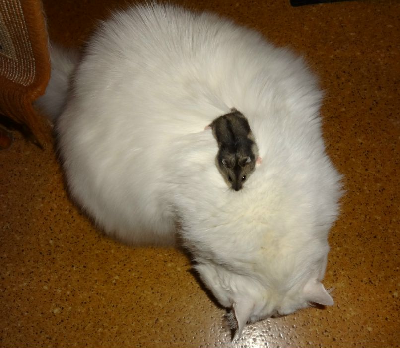 Екатерина Нехаева | Москва