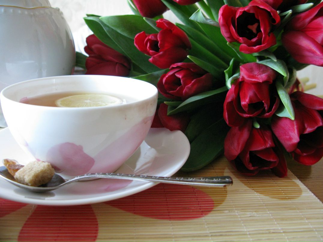 Наталья Токарева | Саратов