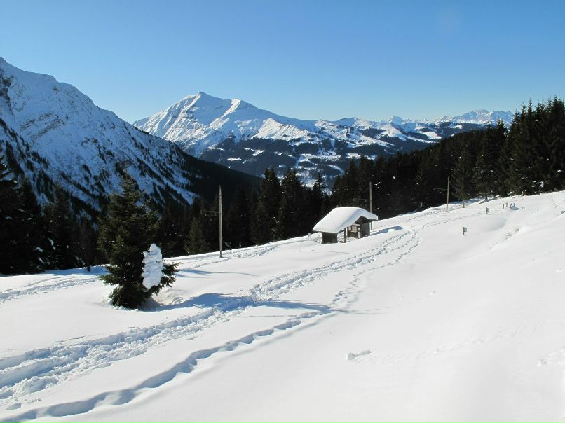 Александр Пономарев | Москва