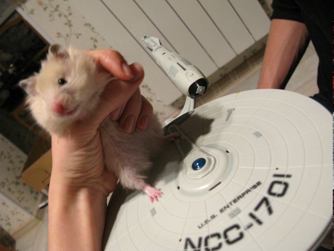 Eugene Creet | Москва