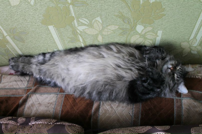 Сергей Данилов | Санкт-Петербург