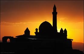 Vovan Holimanov фото профиля #3