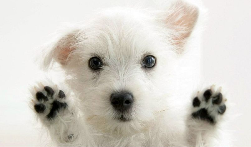 Анастасия Тальчикова | Архангельск