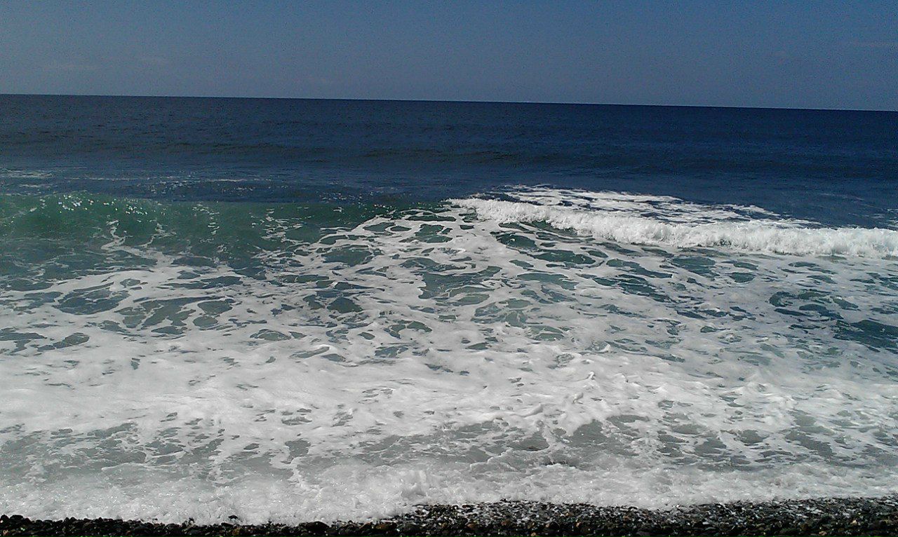 Dasha Hardisky | Dayton