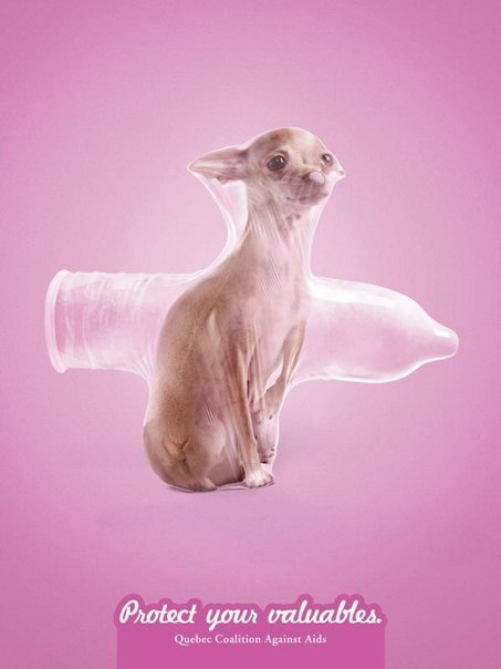 №160, Диман Денисенко, 35 лет, Новосибирск №160, Диман Денисенко, 35 лет, Новосибирск