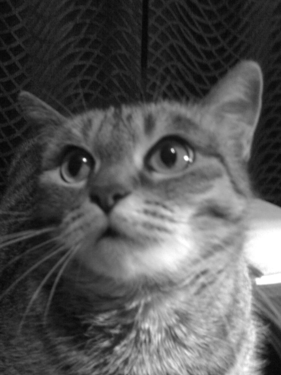 Олюська Соколова | Санкт-Петербург