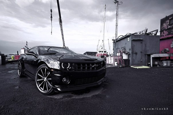 Анастасия Абрамова | Красноярск