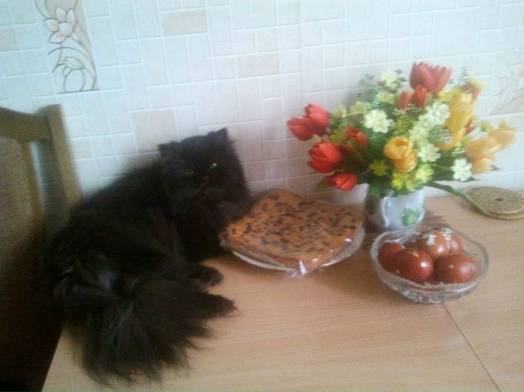 Алексей Коляденко -=Yntai=- | Киев