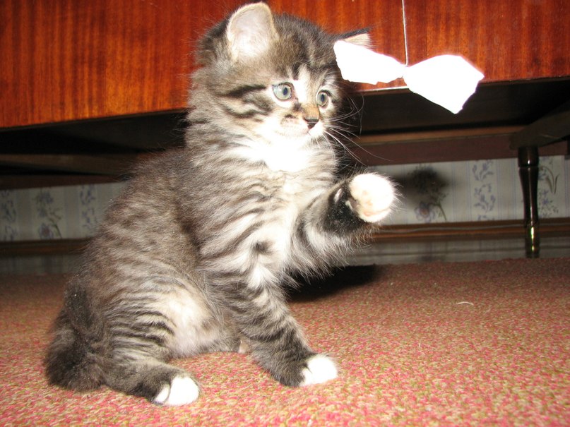 Алексей Молчанов | Ижевск