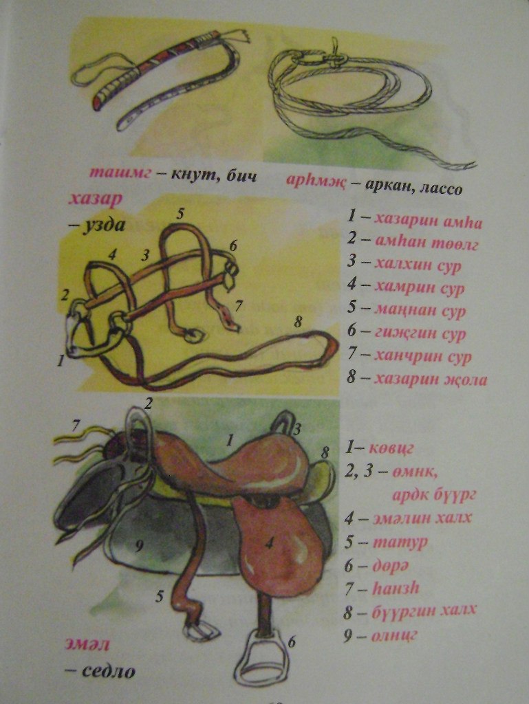 Владимир Лиджиев | Большой Царын