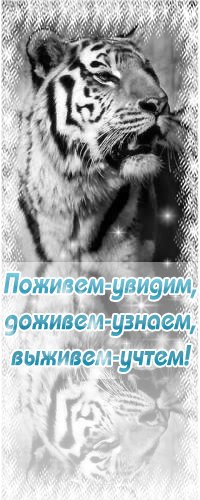 Андрей Безсмертный | Кривой Рог