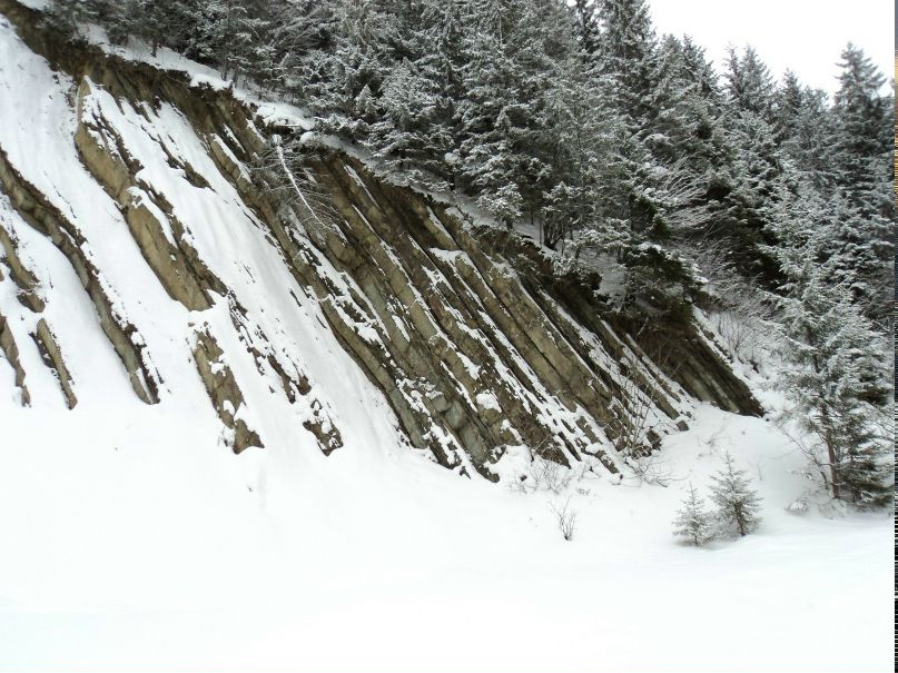 Андрій Чесноков | Киев