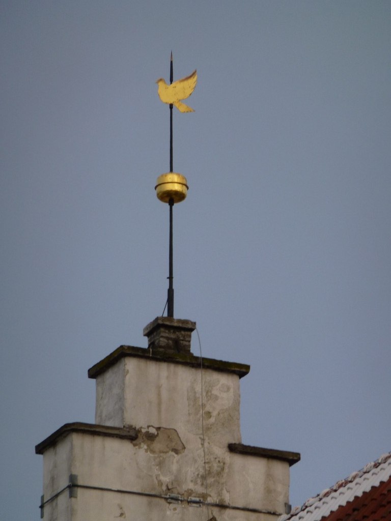 Ольга Целищева Олюшка | Санкт-Петербург