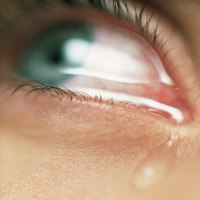 Татьяна Буренкова | Львов