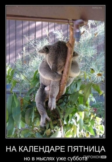 Максим Овчаренко | Луганск