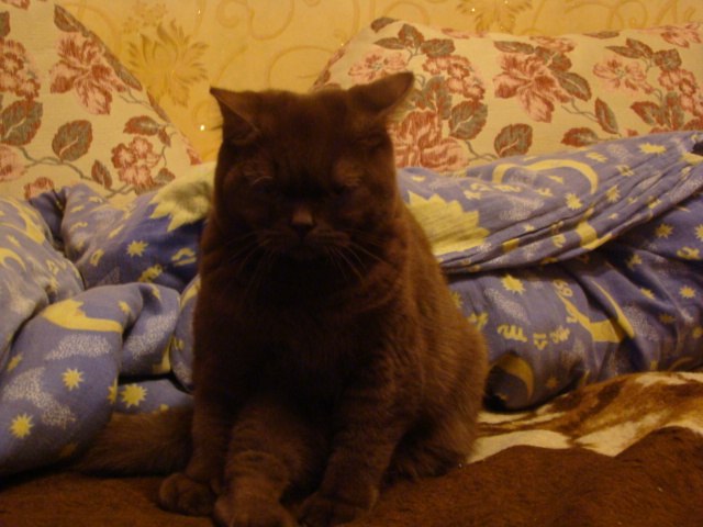 Эдгар Киракосян | Санкт-Петербург