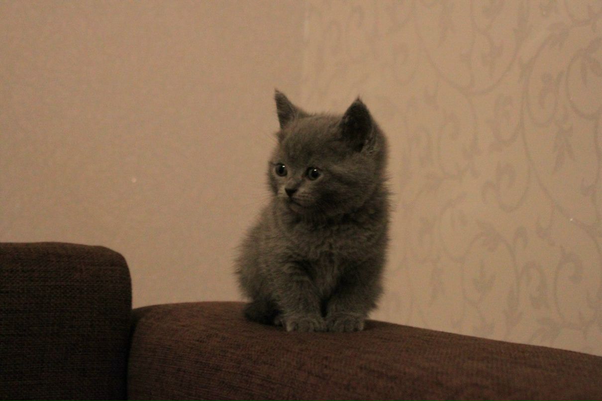 Анастасия Лебедева | Москва