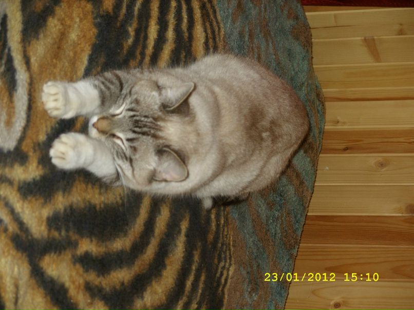 Вован Суравцев | Сосново