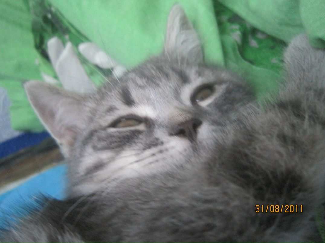 Григорий Куликов | Тюмень