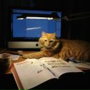 №13, Евгений Лувсандугар, 4.7.1984, 41 год