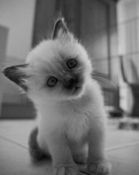 №13, Яна Сокіл-Бондарець, 36 лет, Ровно №13, Яна Сокіл-Бондарець, 36 лет, Ровно