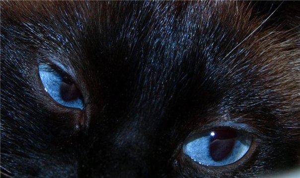 Анастасия Ломоносова | Ростов-на-Дону