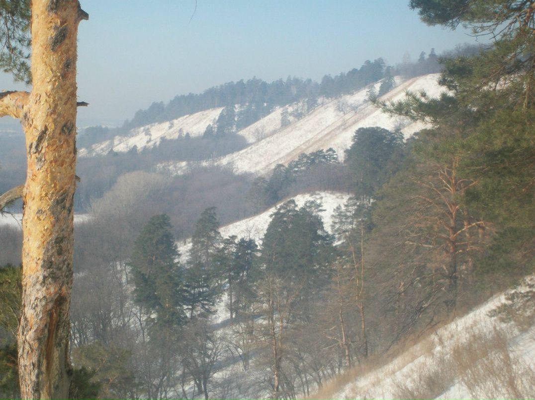 Геннадий Пальчиков | Самара