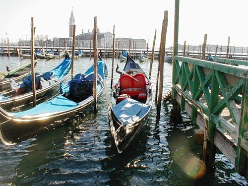 Елена Гаврилова-Мёслингер | Salzburg