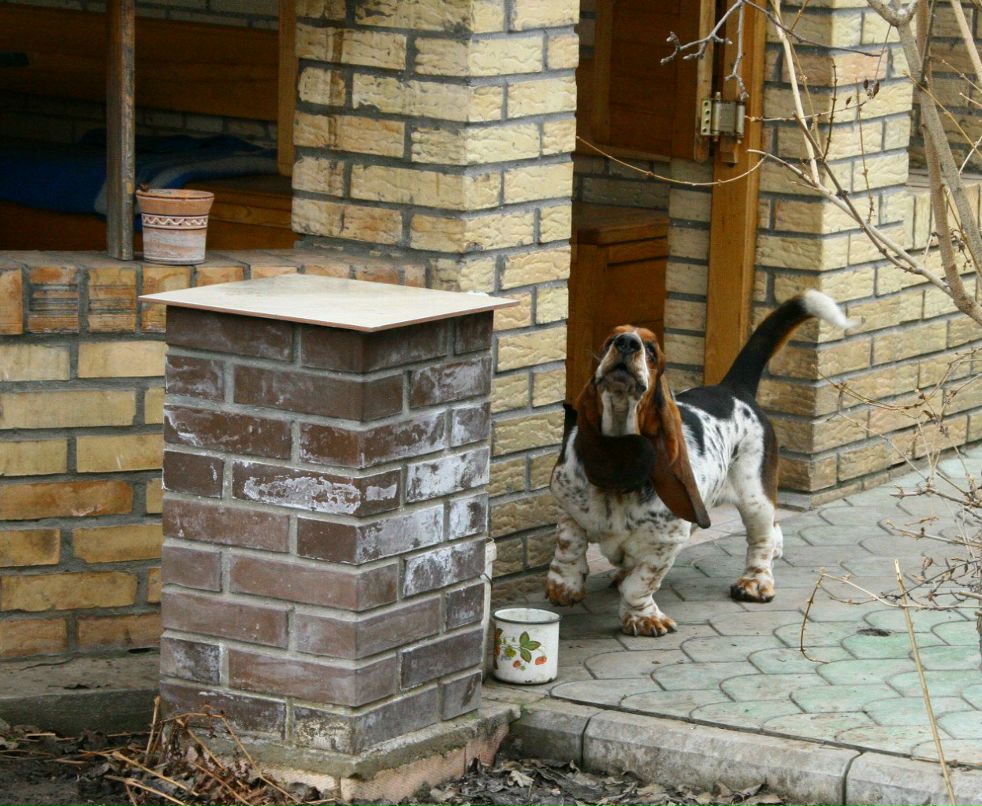 Катерина Комарова | Киев