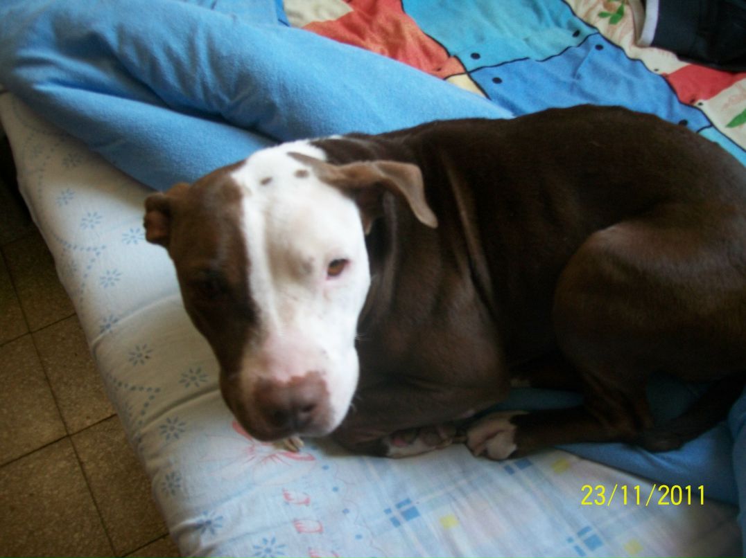 Alona Larionov | Beit She'an