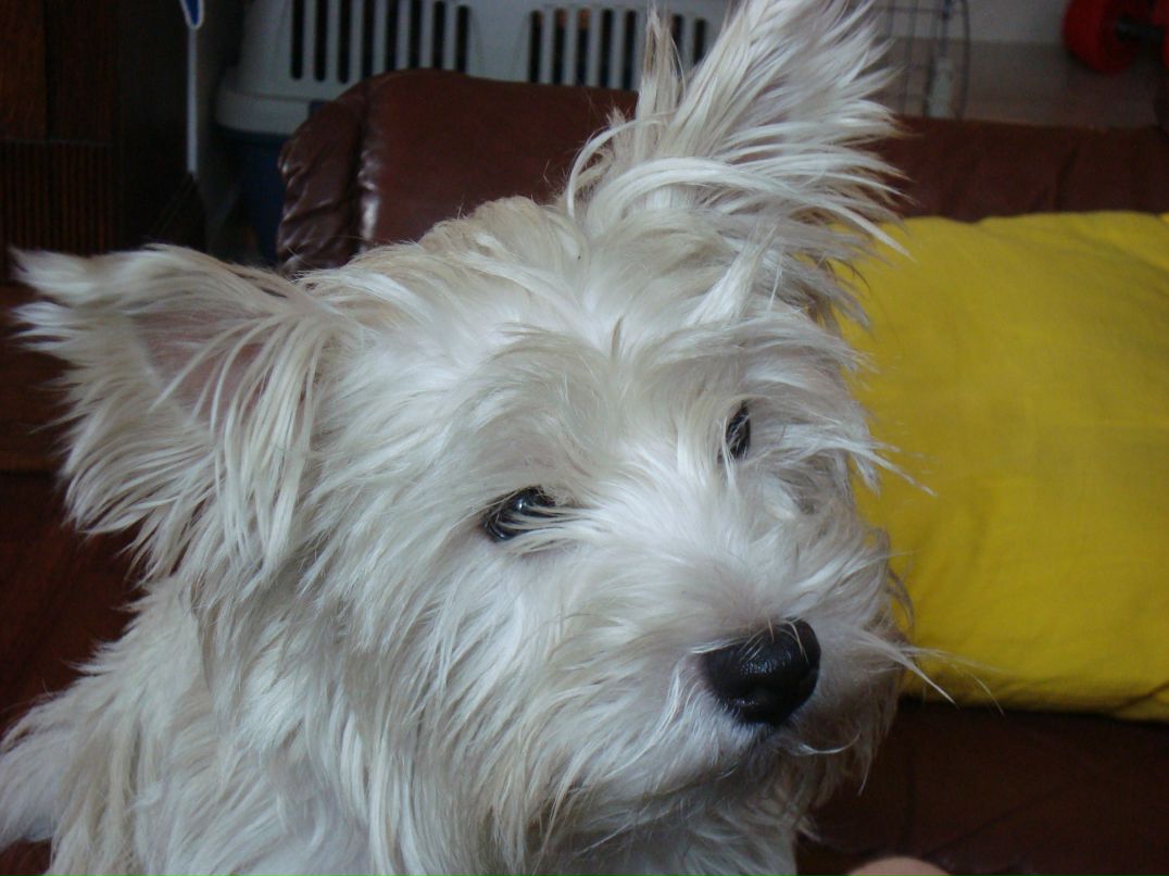 Наталья Аникиева | 