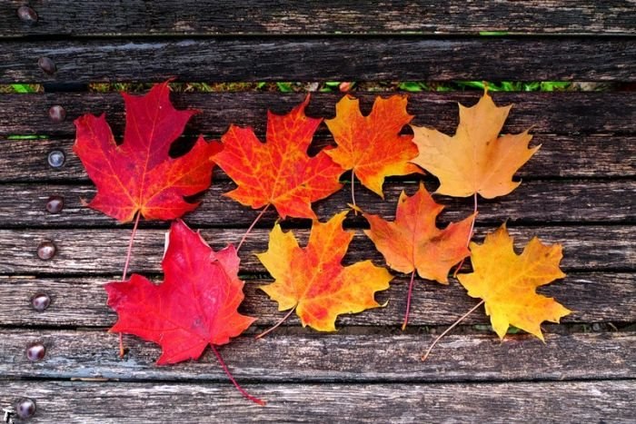 Анастасия Никулина | Краснодар