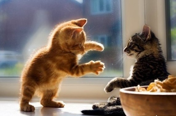 №32, Влад Шейко, 46 лет, Днепр (Днепропетровск) №32, Влад Шейко, 46 лет, Днепр (Днепропетровск)