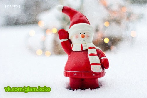 №61, Алина Миколенко №61, Алина Миколенко