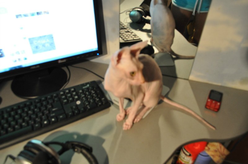 Александр Мезников | Воркута