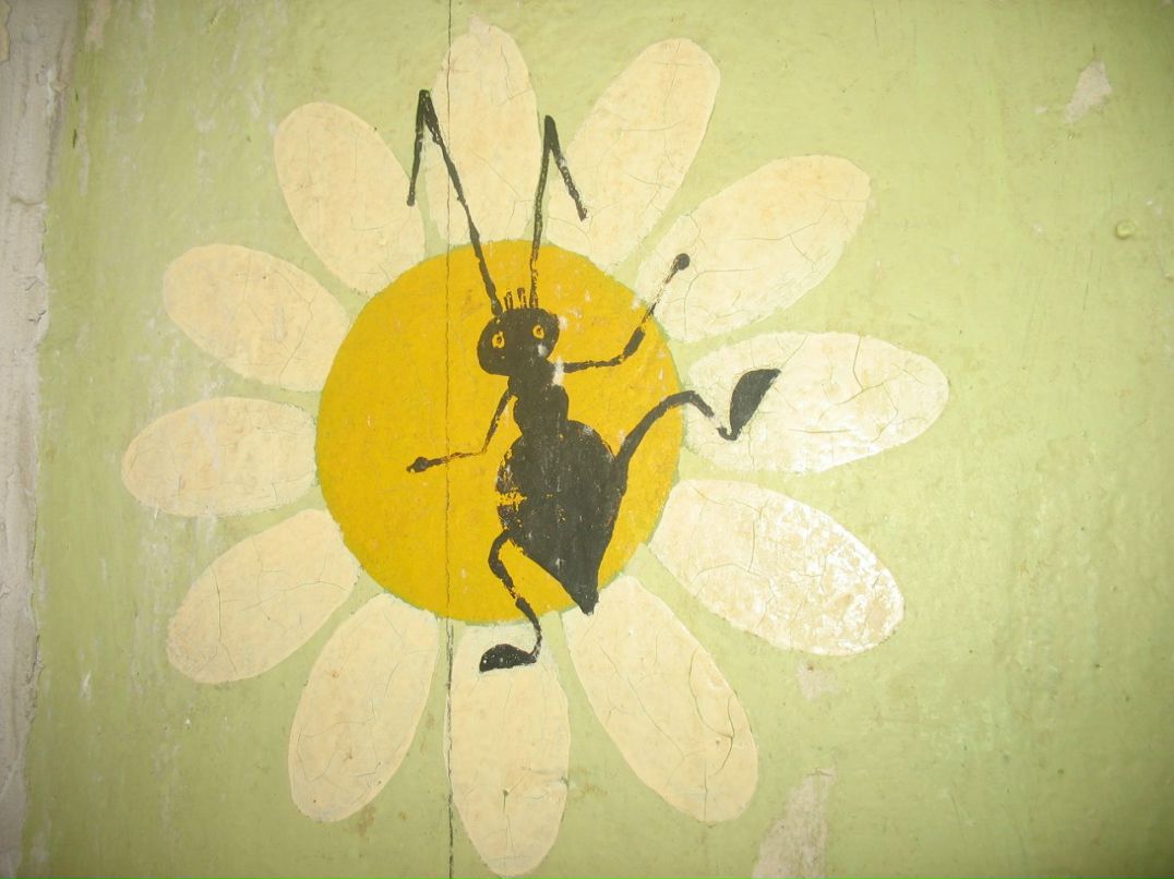 Николай Евланов | Тула