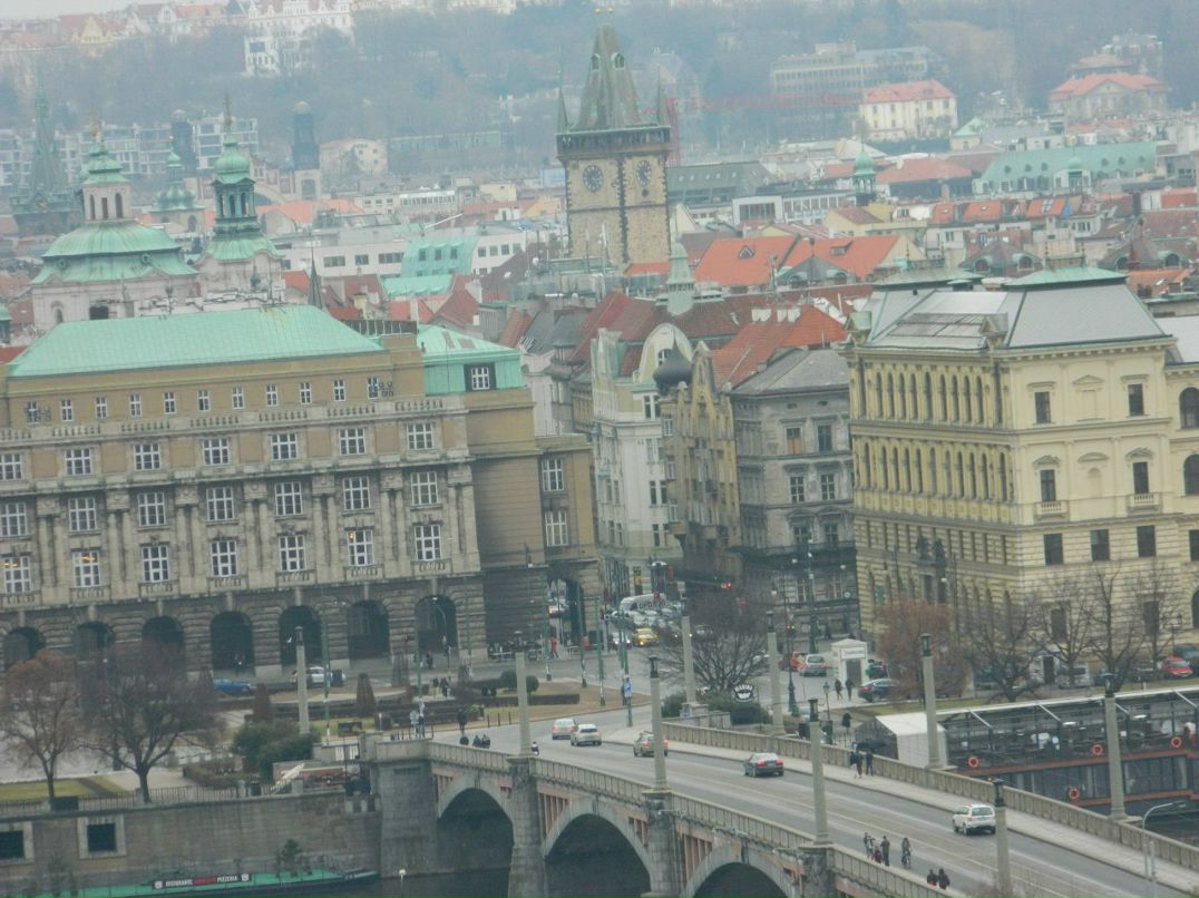 Ксения Никифорова | 