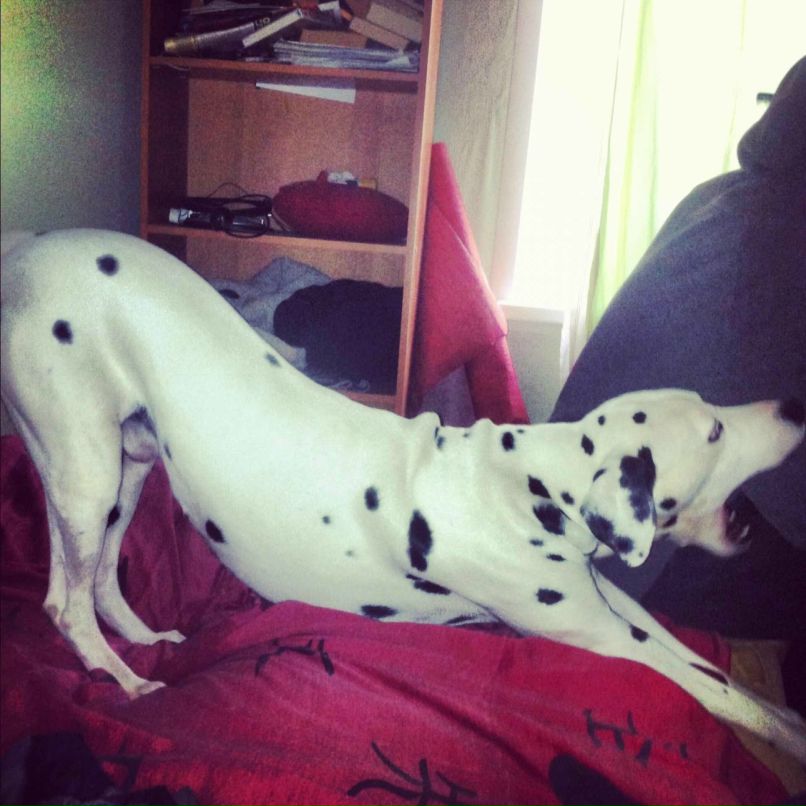 Vova Shakhnazarov | Москва