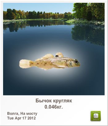 Артем Поддубняк | Ровно