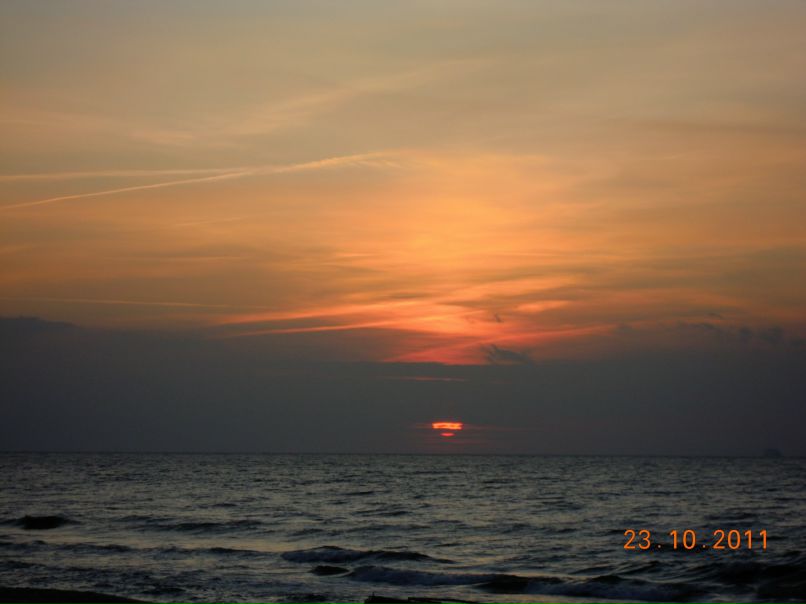 Елена Логвиненко | Калининград