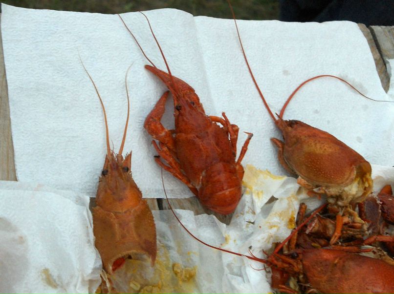 Виктор Волынкин | Псков