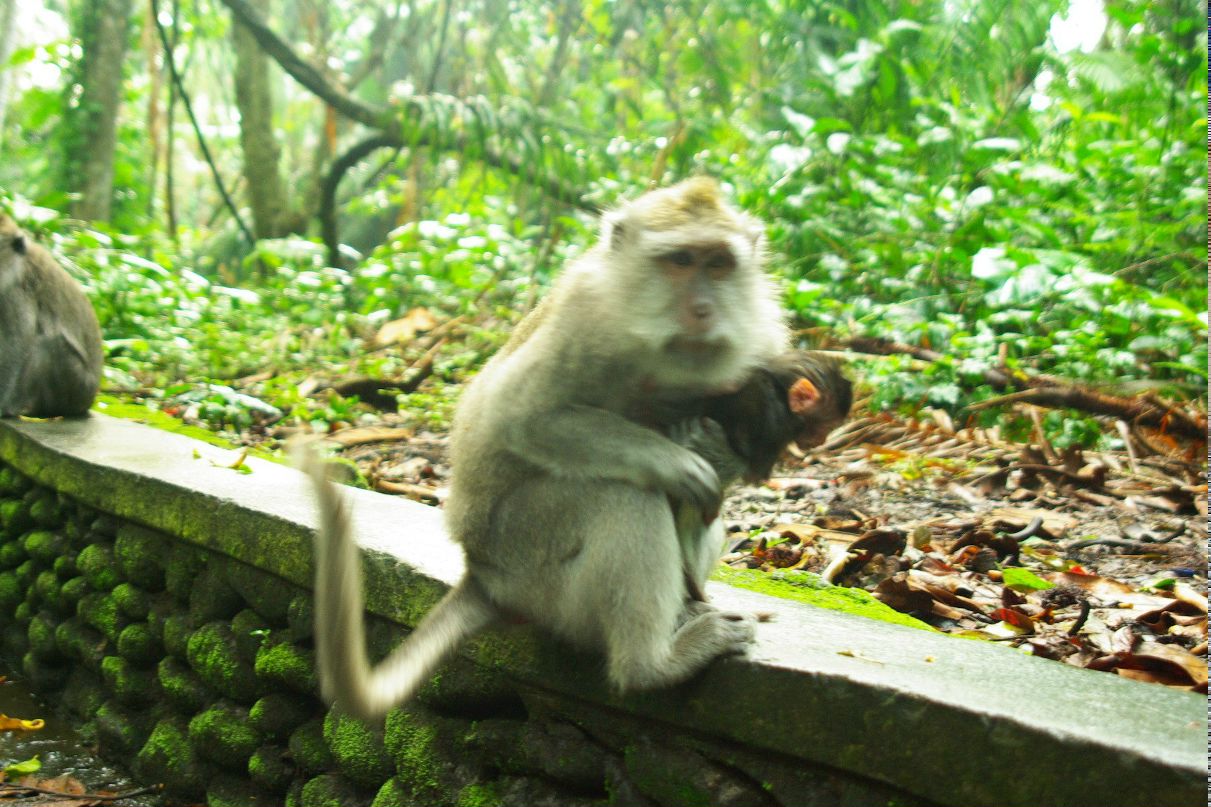 Дима Диссон | Москва