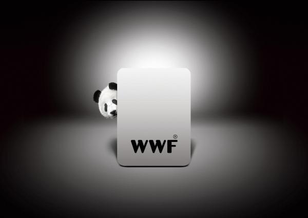 Аля Федотова | 