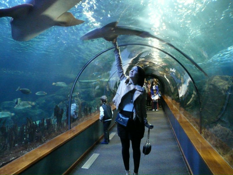 Ксения Крутовская | Москва