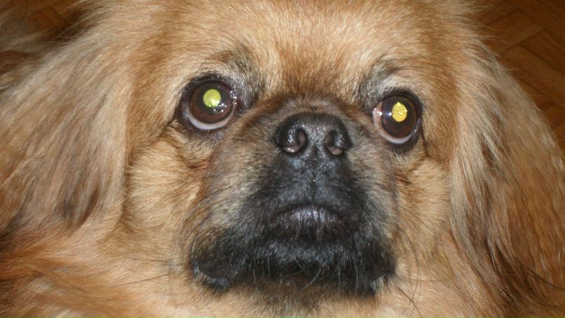 Евгений Абросимов | Набережные Челны