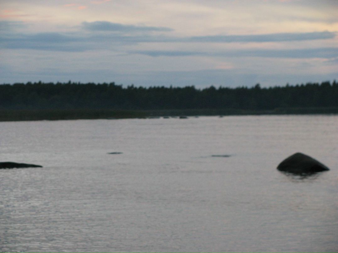 Сергей Воронец | Санкт-Петербург