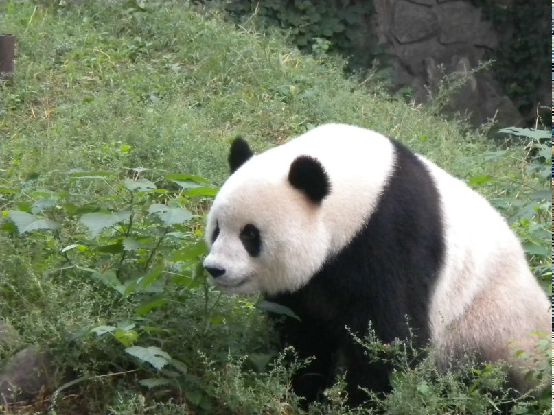 Анна Наумова | Пермь