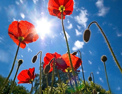 Ильдар Мангушев | 