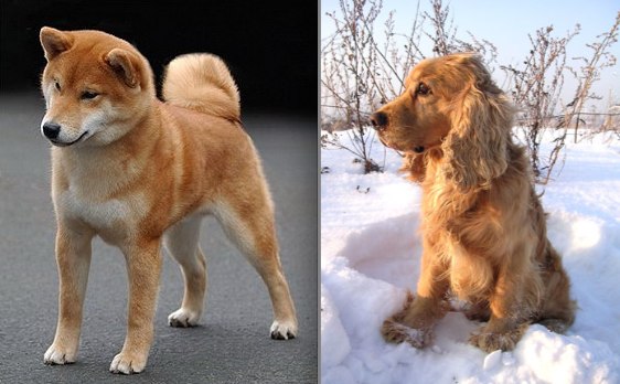 №105, Кристина Попова, Екатеринбург, Россия №105, Кристина Попова, Екатеринбург, Россия