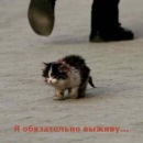 Фотография Логвиновой-Жуковой Светланы